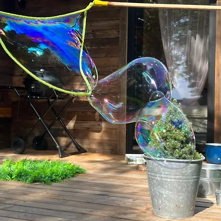 Mazurska Ksiazko Najpiekniejszych Nocy *